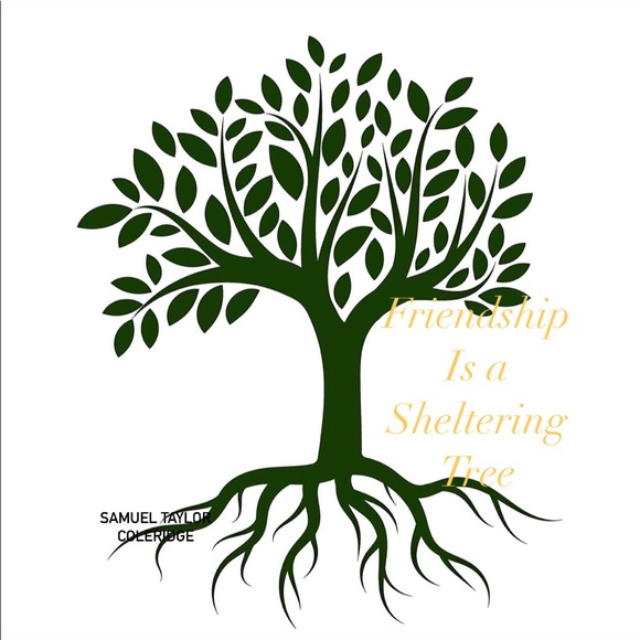 🌱 H E L L O! 🌱 W E L C O M E 🌱 - Picture 2 of 6